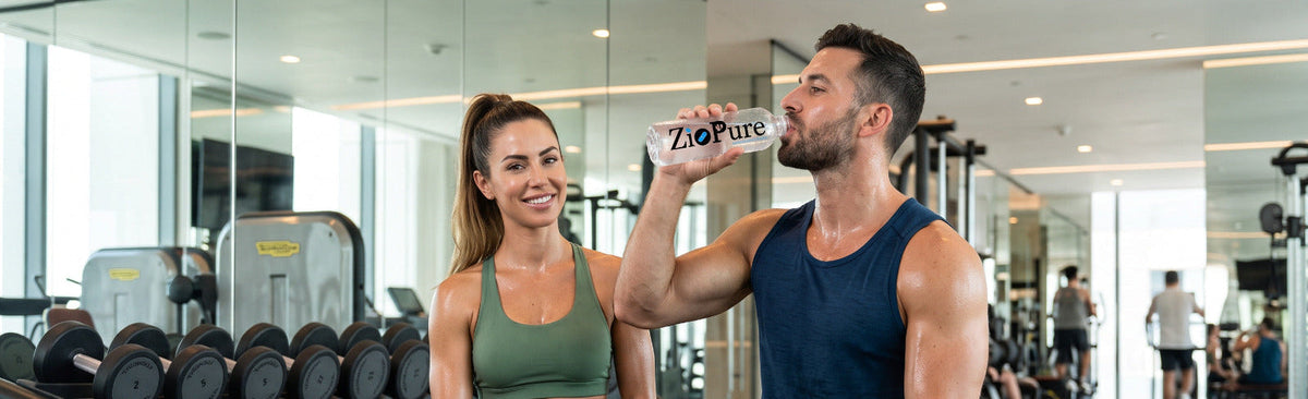 Creatine products