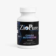 Chaga Mushroom