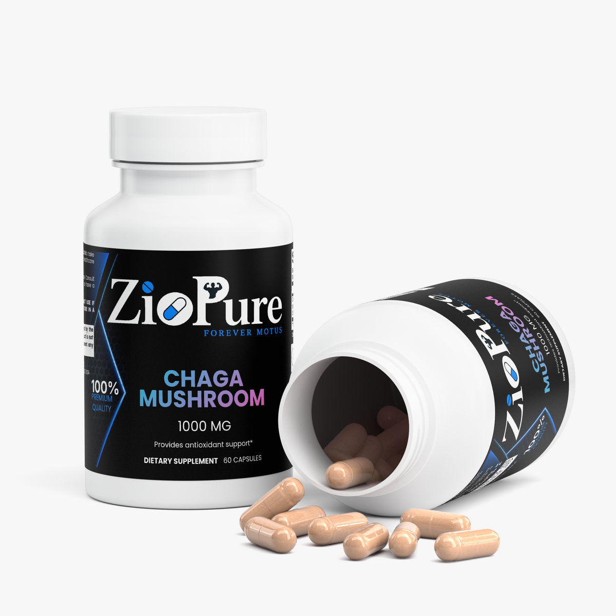 Chaga Mushroom